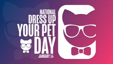 Photo of Fun News: Things To Do On National Dress Up Your Pet Day